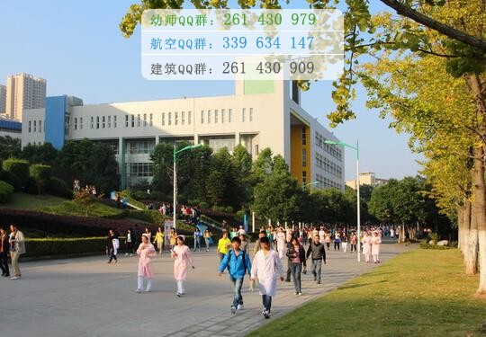 重慶三峽醫(yī)藥高等??茖W校