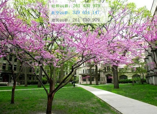 和田師范??茖W(xué)校招生辦聯(lián)系電話