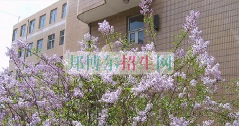 山西國際商務職業(yè)學院招生辦聯系電話