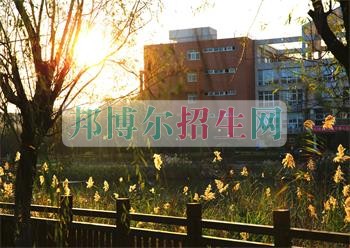 上海思博職業(yè)技術(shù)學院是幾專