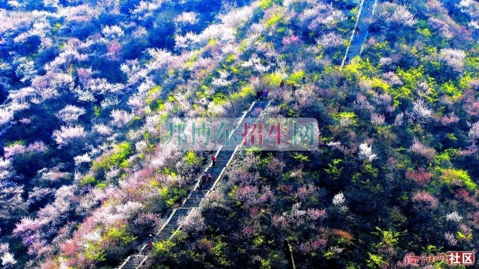 新鄉(xiāng)職業(yè)技術學院宿舍條件