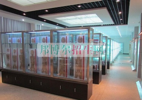 益陽醫(yī)學高等?？茖W校