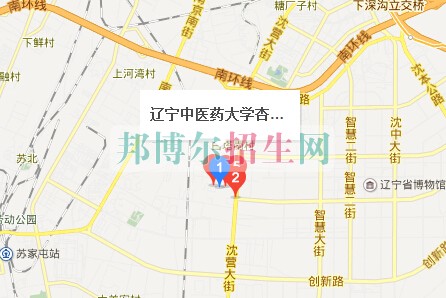 遼寧中醫(yī)藥大學杏林學院