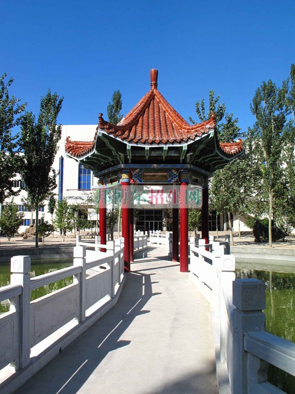 石家莊科技工程職業(yè)學院是幾專