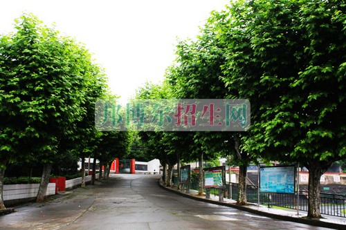 哪個(gè)大專(zhuān)學(xué)校海乘海員好