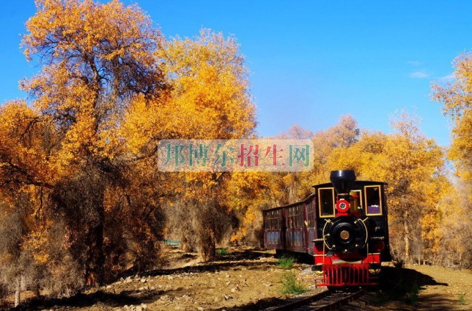 哪所鐵道工程技術專業(yè)學校好