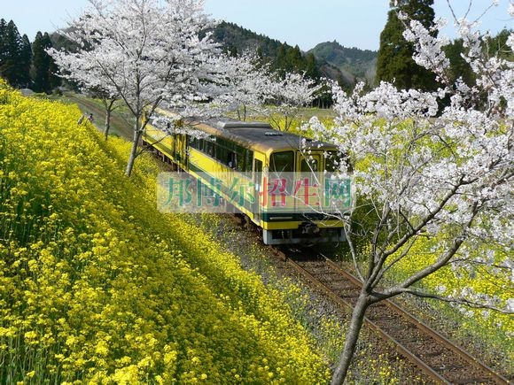 女生學鐵道工程技術(shù)專業(yè)怎么樣