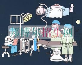 有幾個麻醉學(xué)學(xué)校