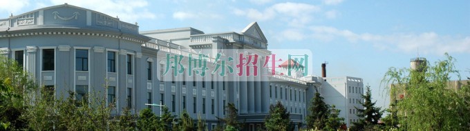 大慶職業(yè)學(xué)院網(wǎng)站網(wǎng)址