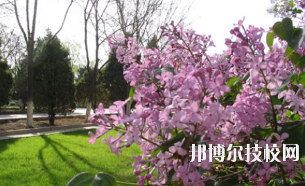 金昌技師學(xué)院2020年招生錄取分數(shù)線