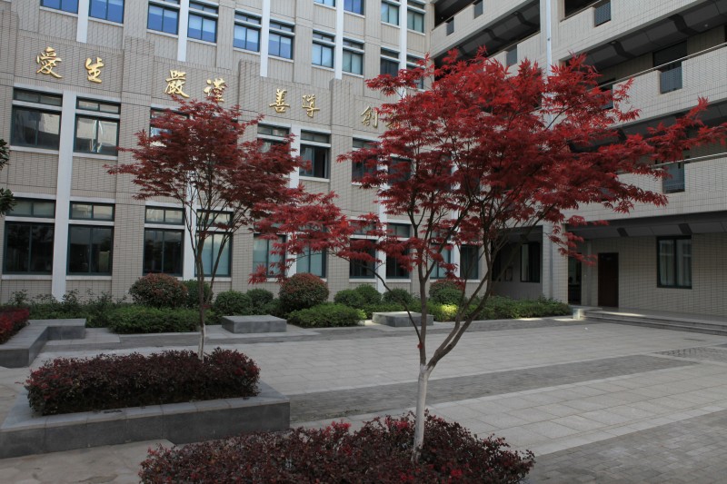 南京衛(wèi)生高等職業(yè)技術(shù)學(xué)校怎么樣、好不好