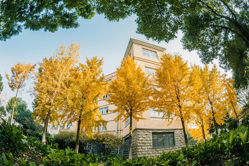 南京高等職業(yè)技術(shù)學(xué)校怎么樣、好不好