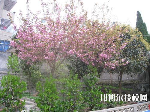 嵐皋縣中等職業(yè)技術(shù)學(xué)校2020年報名條件、招生要求、招生對象