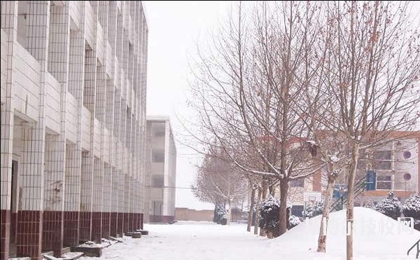 白水縣職業(yè)中等專業(yè)學校2020年報名條件、招生要求、招生對象