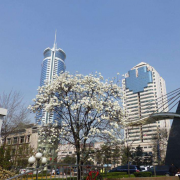 西安音樂(lè)學(xué)院附屬中等音樂(lè)學(xué)校