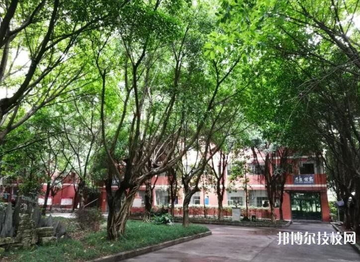 重慶舞蹈學校2020年報名條件、招生要求、招生對象