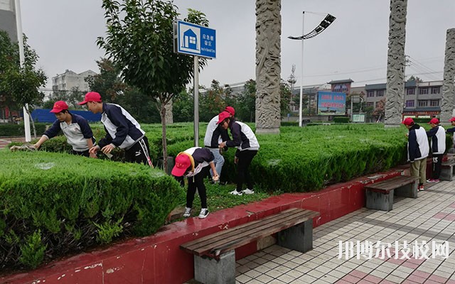 岐山職業(yè)技術(shù)教育中心2020年有哪些專業(yè)