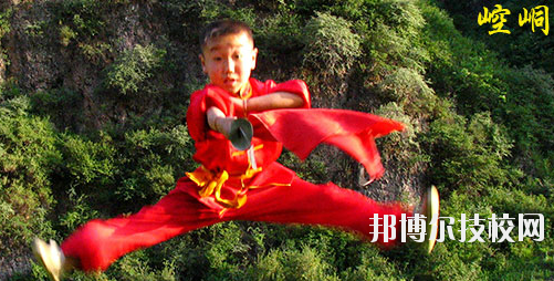 平?jīng)鲠轻嘉奈鋵W(xué)校2020年學(xué)費、收費多少