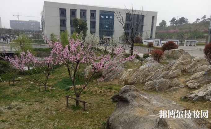 鎮(zhèn)江技師學(xué)院2020年報(bào)名條件、招生要求、招生對象