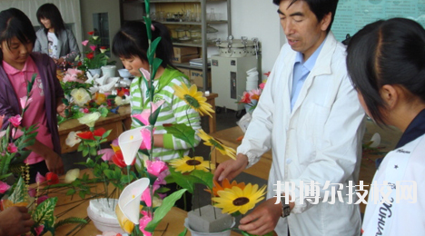 臨夏農(nóng)業(yè)學(xué)校2020年招生辦聯(lián)系電話(huà)