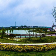 桃江縣揚帆職業(yè)技術(shù)學(xué)校