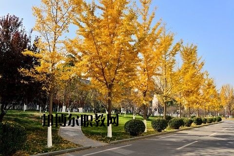 蘄春李時(shí)珍中等專業(yè)學(xué)校怎么樣、好不好