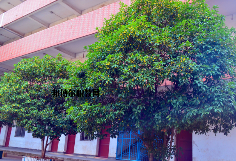 南豐職業(yè)中等專業(yè)學(xué)校怎么樣、好不好