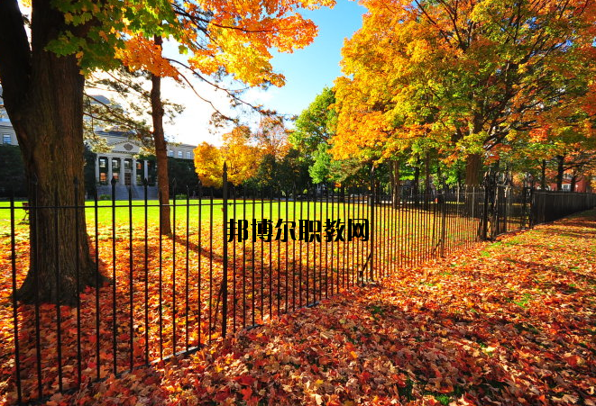 武漢軍需工業(yè)技工學校網(wǎng)站網(wǎng)址