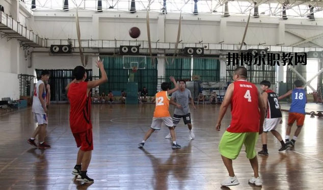 陜西青少年體育運動學(xué)校網(wǎng)站網(wǎng)址 