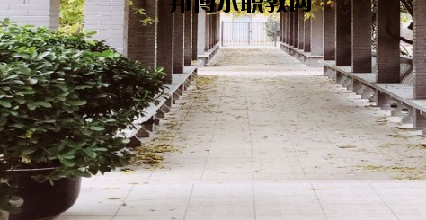 梧州技工學(xué)校2020年報(bào)名條件、招生要求、招生對象 