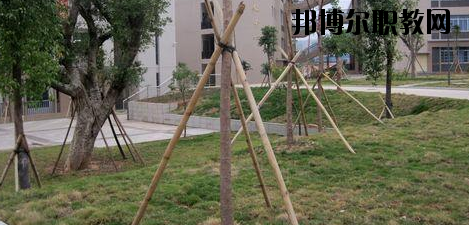 梧州輕工技工學校2020年招生辦聯(lián)系電話