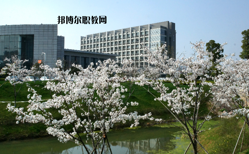 中國藥科大學(xué)2020年報名條件、招生要求、招生對象