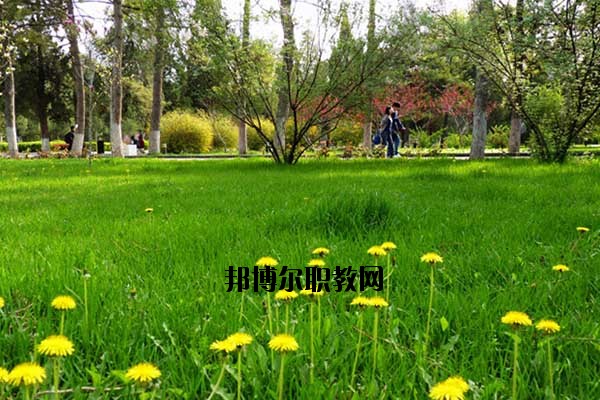 雙江縣職教中心2020年報名條件、招生要求、招生對象