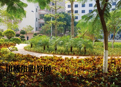 湛江技師學(xué)院怎么樣、好不好