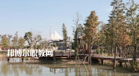 崇左八桂城市中等職業(yè)技術學校2020年招生辦聯(lián)系電話 