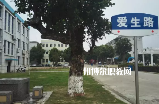 湛江南大理工職業(yè)技術學校網(wǎng)站網(wǎng)址