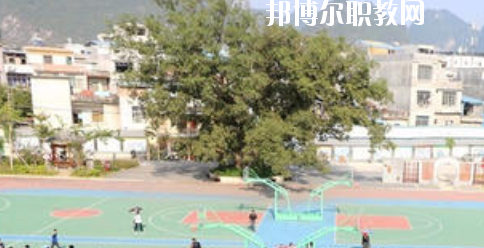 大新縣職業(yè)技術(shù)學校2020年招生簡章