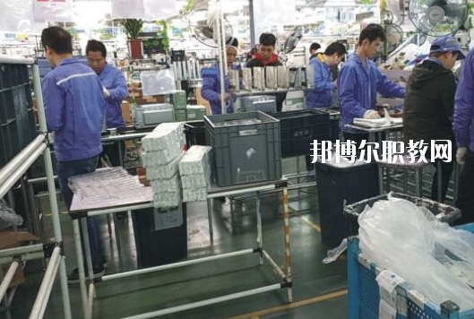 遂溪縣職業(yè)技術(shù)學(xué)校2020年報(bào)名條件、招生要求、招生對(duì)象