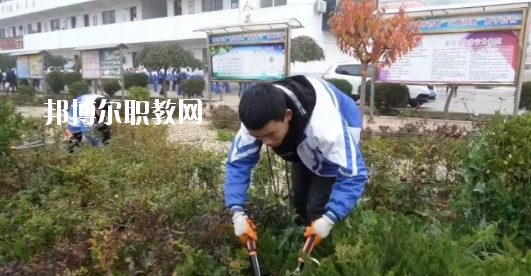 秦安縣古城農(nóng)業(yè)中學怎么樣、好不好