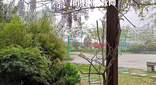 合肥騰飛學(xué)校2020年招生辦聯(lián)系電話