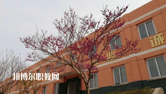 成縣化埡農(nóng)職業(yè)中學(xué)怎么樣、好不好