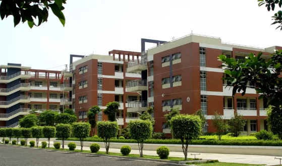 佛山順德區(qū)李偉強(qiáng)職業(yè)技術(shù)學(xué)校2020年報名條件、招生要求、招生對象