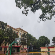 岳陽市商貿(mào)職業(yè)技術(shù)學校