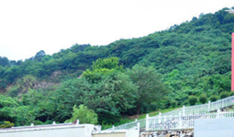 安慶獨秀學(xué)校2021年報名條件、招生要求、招生對象