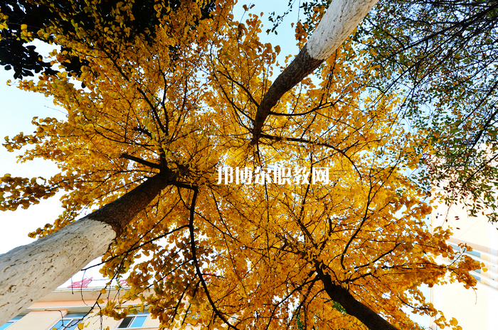 安徽淮北煤電技師學(xué)院怎么樣、好不好