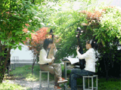 蘇州評(píng)彈學(xué)校2021年報(bào)名條件、招生要求、招生對(duì)象