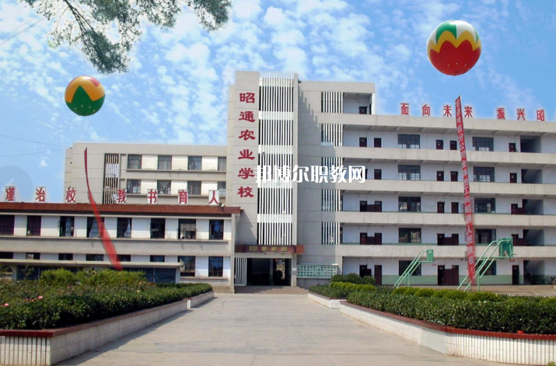 昭通農(nóng)業(yè)學校網(wǎng)址網(wǎng)站