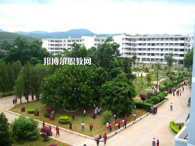 普洱農(nóng)業(yè)學(xué)校2021年學(xué)有哪些專(zhuān)業(yè)