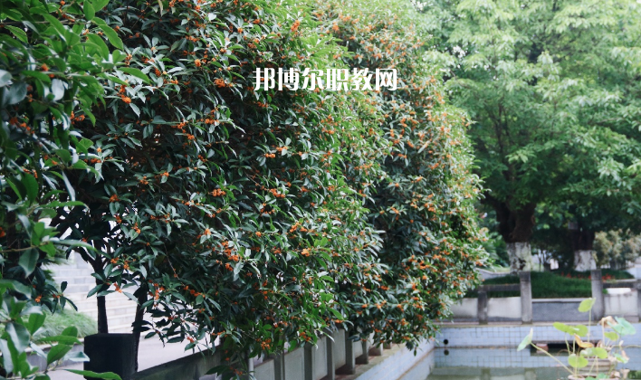 德陽通用電子科技學校怎么樣、好不好