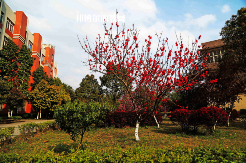 重慶萬(wàn)州技工學(xué)校2022年招生錄取分?jǐn)?shù)線